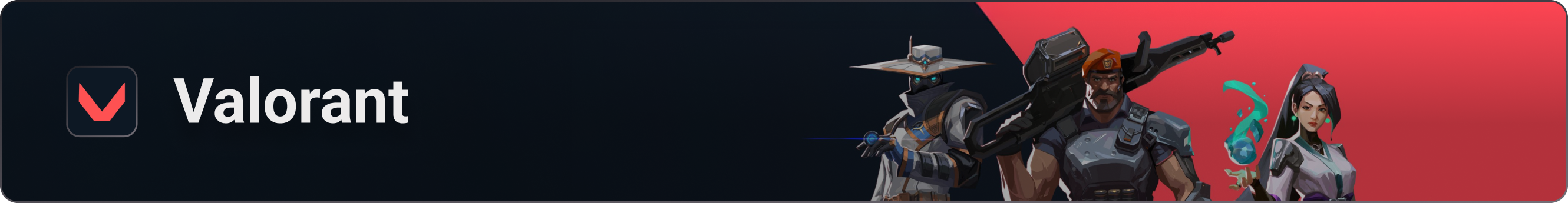 Valorant Banner