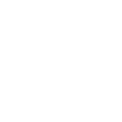NIP Logo Darkmode.png