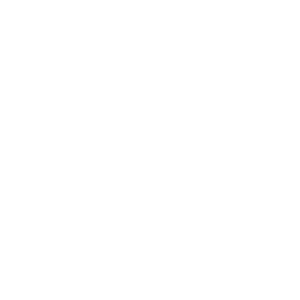 File:AMDiconwhite.png