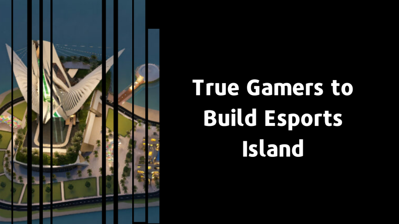 True Gamers.png