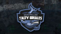 Meltdown Montpellier Logo.jpg
