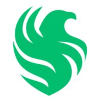 Team Falcons - Organization