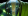 Earth Spirit - Abed