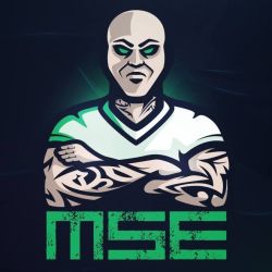 MSE Logo.jpg