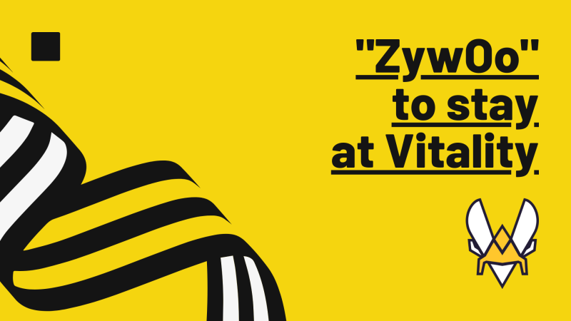 Vitalityzy.png