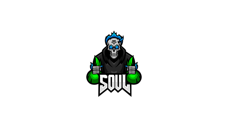 TEAMSOUL.png