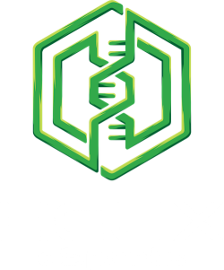 Helix eSports LogoAll.png