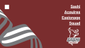Thumbnail for version as of 11:40, 15 April 2024