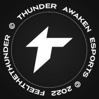 Thunder Awaken - Organization