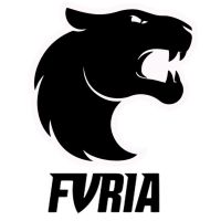 FURIA - Organization