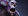 Witch Doctor - Moo