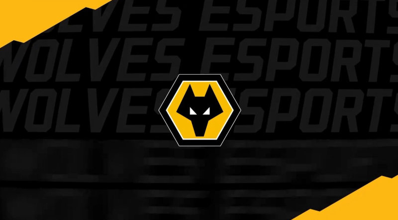 Wolves Esports Transfer.png