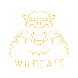 Belong Wolverhampton Logo Dark.png