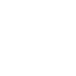 Endpoint Icon Dark.png