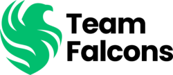 Team Falcons Logo Lightmode.png