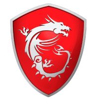 MSI - Organization